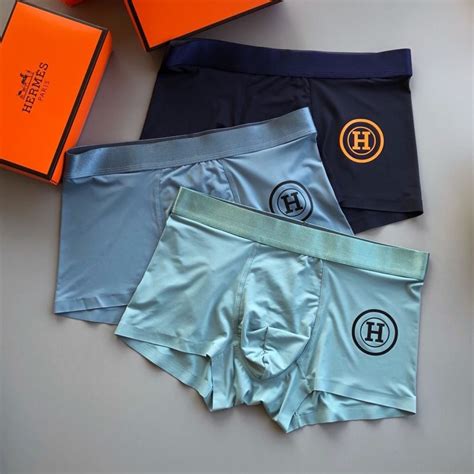 hermes panties|Women's HERMÈS .